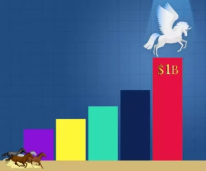 Unicorn companies: the rise of entrepreneurship