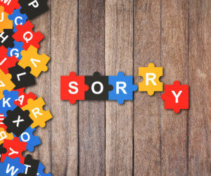 the art of the apology