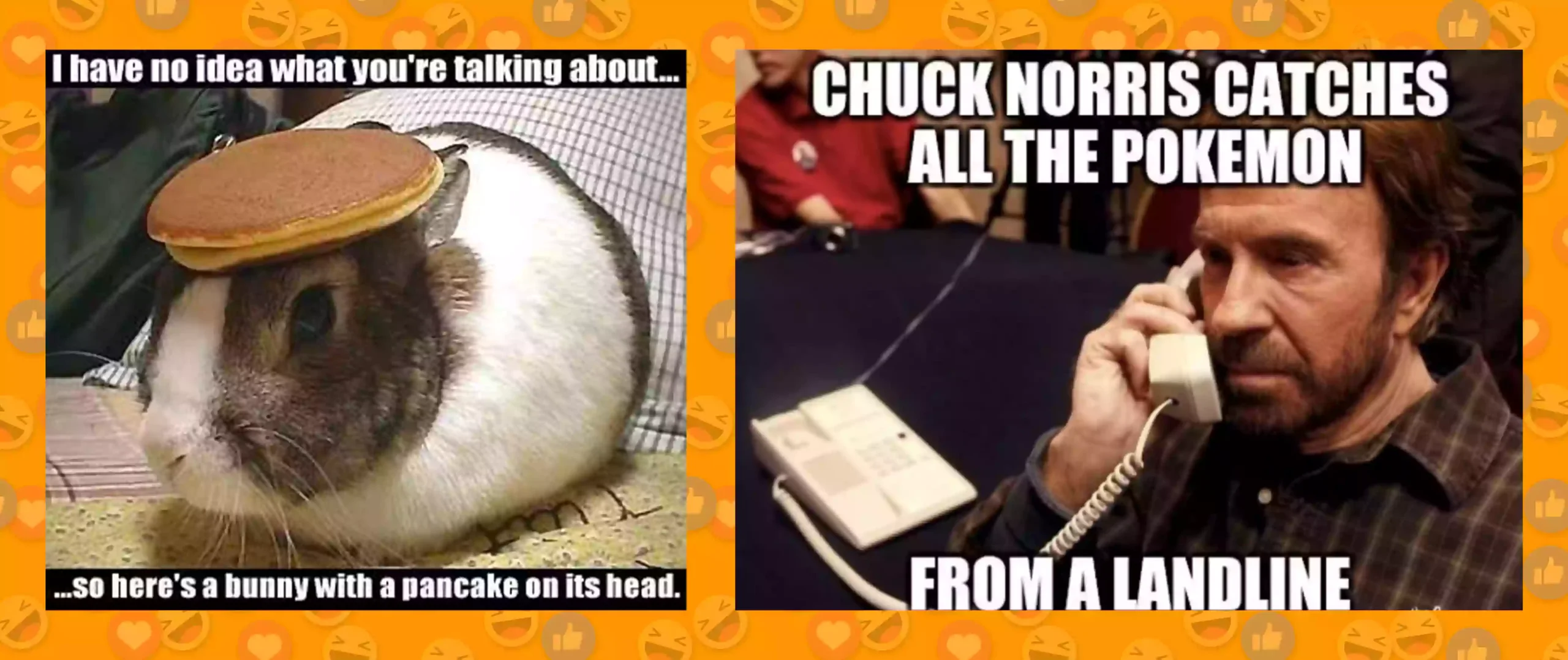 Oolong rabbit & Chuck Norris memes