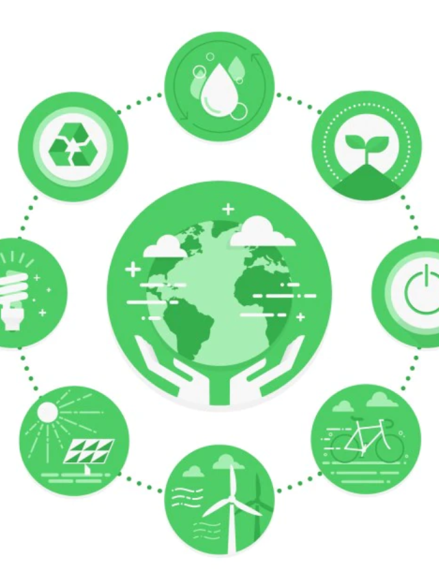 Linear economy vs Circular economy